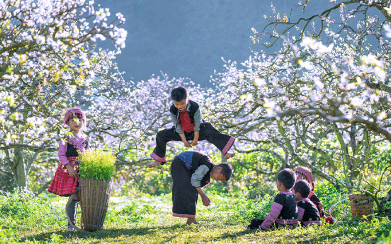 Mai Chau highlights Thai ethnic traditions with stilt houses, weaving, and dance.